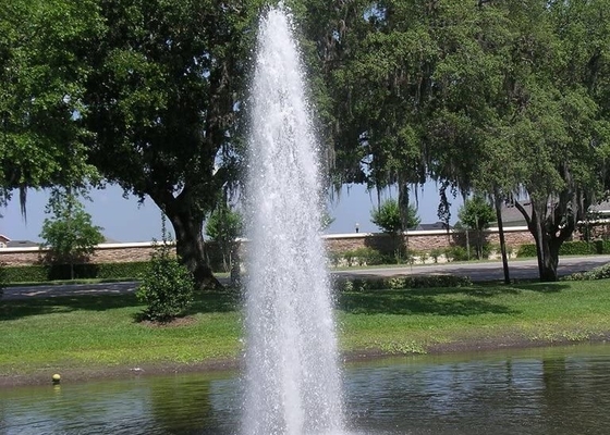 5m van de het Ijstoren van het Diameter200kpa Messing de Fontein Jet Nozzle Fully SS304