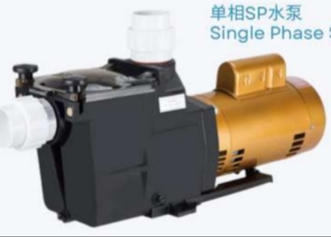 2023 SP1005 1HP zwembadwaterpompen voor zwembadgebruik