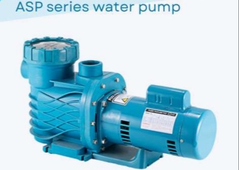 ASP100 Zwembadwaterpompen voor zwembadgebruik