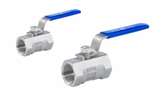 Zwembadroestvrij staal de Kogelklep van het 1 Duimwater
