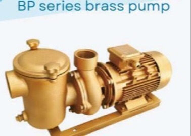 BP30 zwembad waterpompen voor zwembad